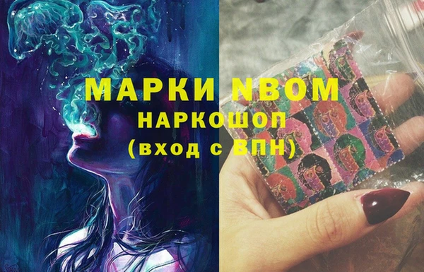 бошки Алексин