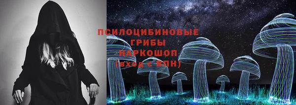 прущий лед Алексеевка