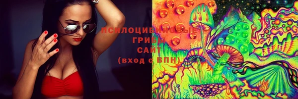 прущий лед Алексеевка