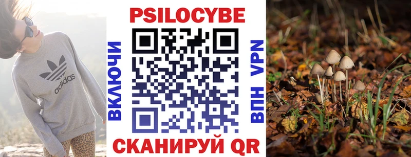 Псилоцибиновые грибы Psilocybe Амурск